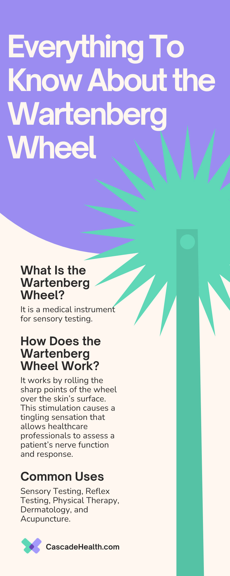 Everything To Know About the Wartenberg Wheel