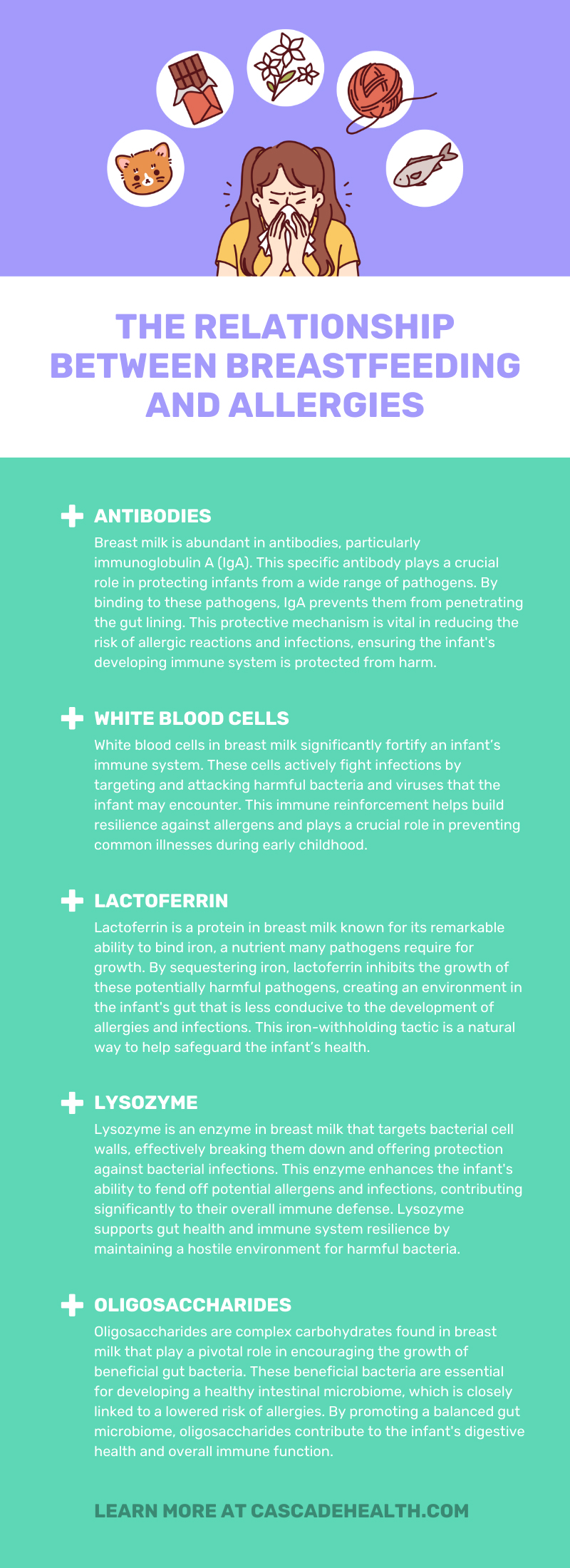 The Relationship Between Breastfeeding and Allergies